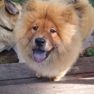 Meet your Posher, Debra